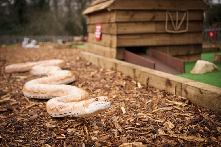things to do in surrey